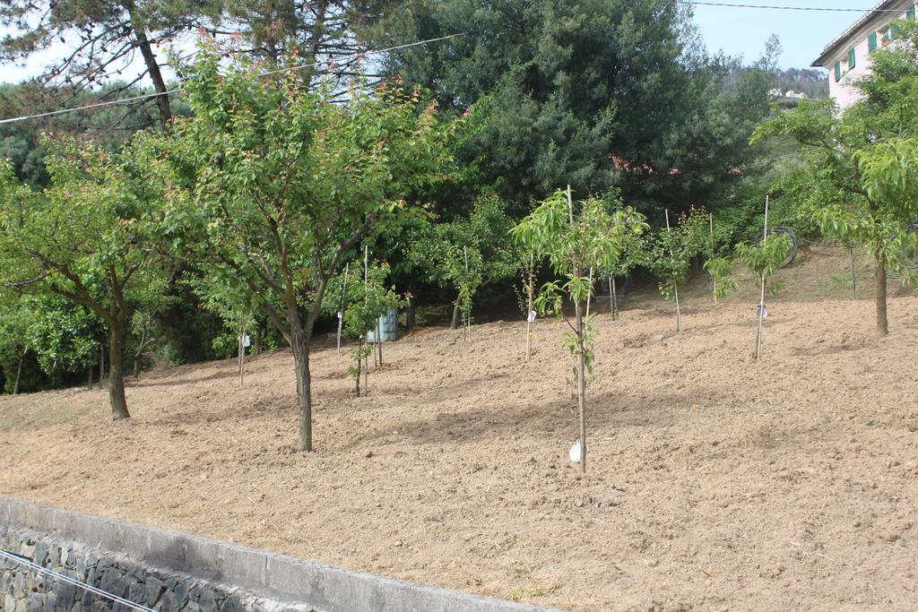 Apartmán Le Ginestre Levanto Pokoj fotografie