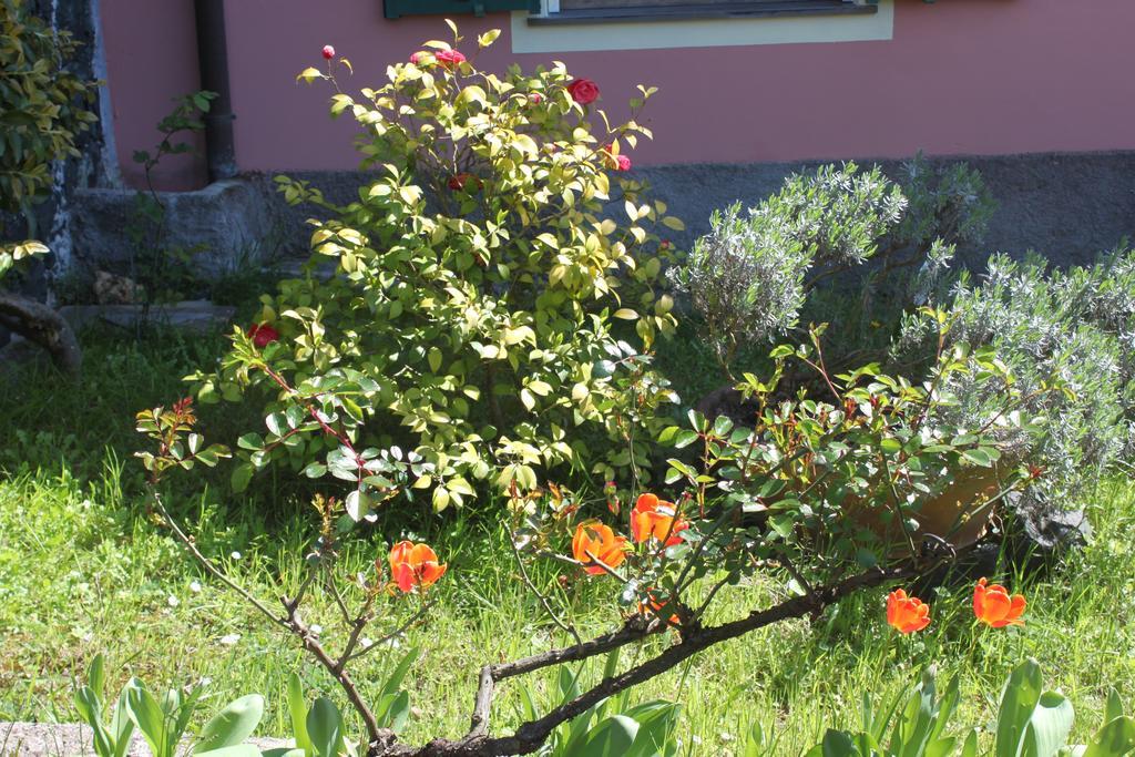 Apartmán Le Ginestre Levanto Pokoj fotografie